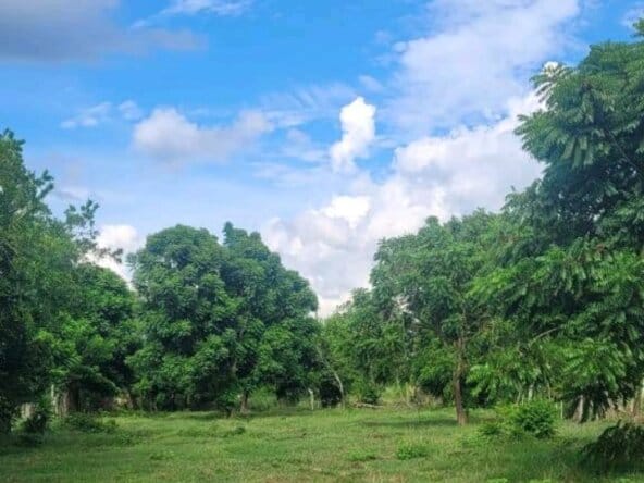 Lote En Venta En Monteria # 40009