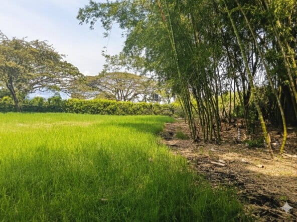 Lote En Venta En Palmira # 40034